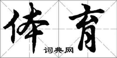 胡問遂體育行書怎么寫