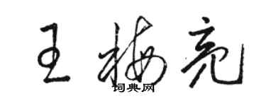 駱恆光王梅亮草書個性簽名怎么寫