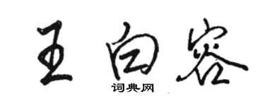 駱恆光王白容行書個性簽名怎么寫