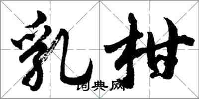 胡問遂乳柑行書怎么寫