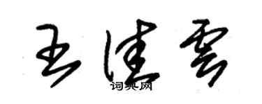 朱錫榮王佳雲草書個性簽名怎么寫
