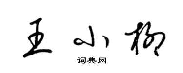 梁錦英王小柳草書個性簽名怎么寫