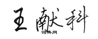 駱恆光王獻科行書個性簽名怎么寫