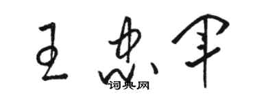 駱恆光王忠軍草書個性簽名怎么寫