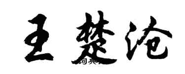 胡問遂王楚滄行書個性簽名怎么寫