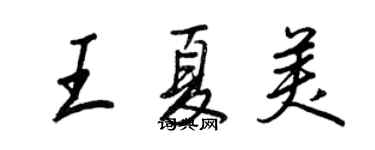 王正良王夏美行書個性簽名怎么寫