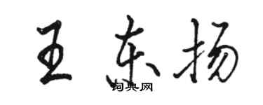 駱恆光王東揚行書個性簽名怎么寫