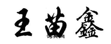 胡問遂王苗鑫行書個性簽名怎么寫