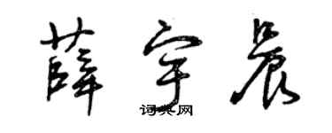 曾慶福薛宇晨草書個性簽名怎么寫