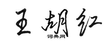 駱恆光王胡紅行書個性簽名怎么寫