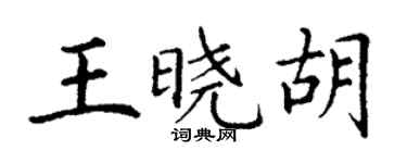 丁謙王曉胡楷書個性簽名怎么寫