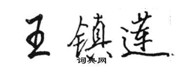 駱恆光王鎮蓮行書個性簽名怎么寫