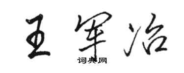 駱恆光王軍冶行書個性簽名怎么寫