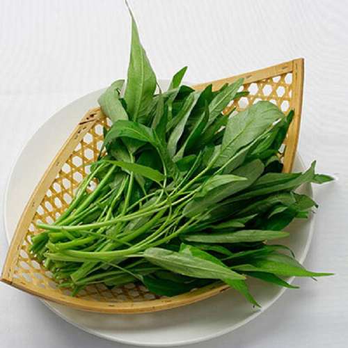 簡單不過通菜_簡單不過通菜作文