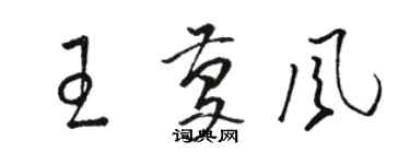 駱恆光王慶風草書個性簽名怎么寫