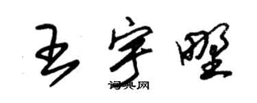 朱錫榮王宇野草書個性簽名怎么寫