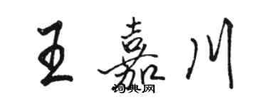 駱恆光王嘉川行書個性簽名怎么寫