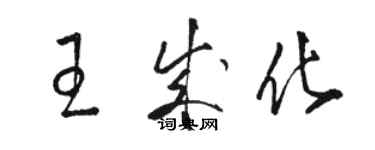 駱恆光王成化草書個性簽名怎么寫