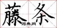 丁謙藤條楷書怎么寫
