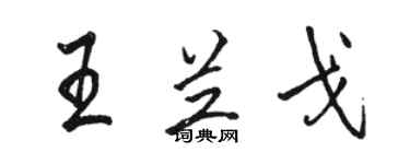 駱恆光王蘭戈行書個性簽名怎么寫