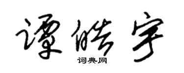 朱錫榮譚皓宇草書個性簽名怎么寫