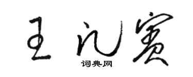 駱恆光王凡賓草書個性簽名怎么寫