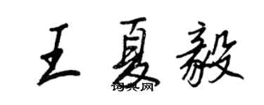 王正良王夏毅行書個性簽名怎么寫