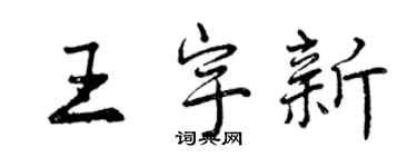 曾慶福王宇新行書個性簽名怎么寫