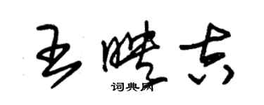 朱錫榮王映吉草書個性簽名怎么寫