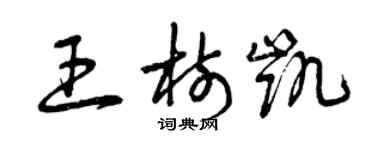 曾慶福王樹凱草書個性簽名怎么寫
