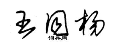 朱錫榮王同楊草書個性簽名怎么寫