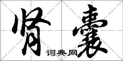 胡問遂腎囊行書怎么寫