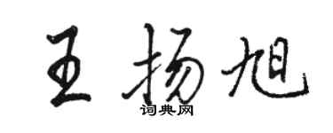 駱恆光王揚旭行書個性簽名怎么寫