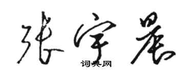 駱恆光張宇晨草書個性簽名怎么寫