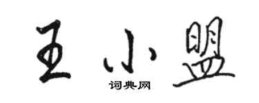 駱恆光王小盟行書個性簽名怎么寫