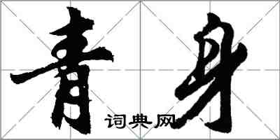 胡問遂青身行書怎么寫