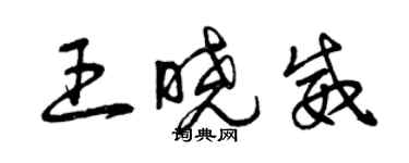 曾慶福王曉威草書個性簽名怎么寫