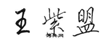 駱恆光王紫盟行書個性簽名怎么寫