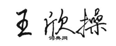 駱恆光王欣操行書個性簽名怎么寫
