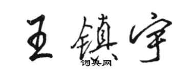 駱恆光王鎮宇行書個性簽名怎么寫