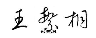 梁錦英王繁桐草書個性簽名怎么寫