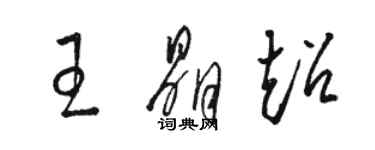 駱恆光王晶超草書個性簽名怎么寫