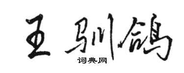 駱恆光王馴鴿行書個性簽名怎么寫