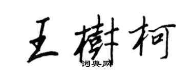 王正良王樹柯行書個性簽名怎么寫
