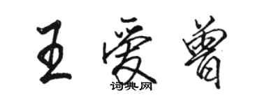 駱恆光王愛曾行書個性簽名怎么寫