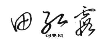 駱恆光田紅霞草書個性簽名怎么寫