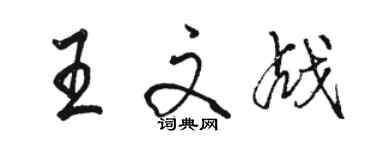 駱恆光王文戰行書個性簽名怎么寫