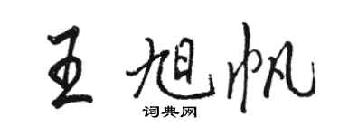 駱恆光王旭帆行書個性簽名怎么寫