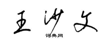 梁錦英王沙文草書個性簽名怎么寫