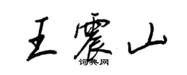 王正良王震山行書個性簽名怎么寫